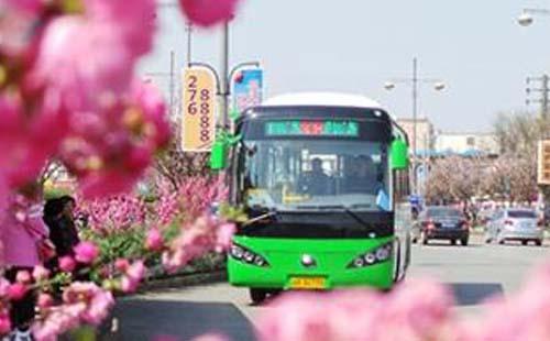 重庆6条都市观光线路载你赏花 开往春天的公交车来了 重庆6条都市观光线路载你赏花 开往春天的公交车来了