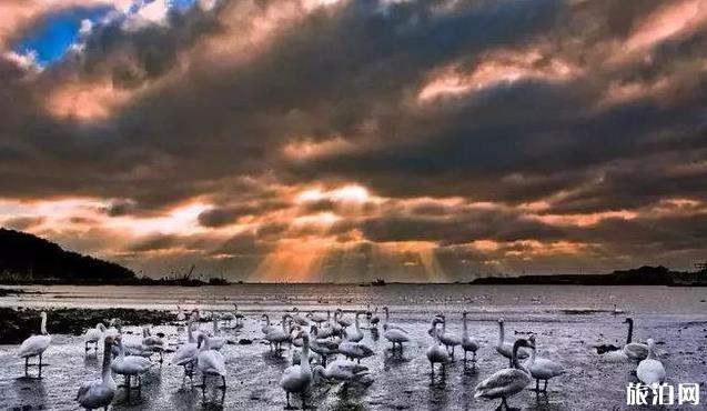 山东威海旅游攻略 山东威海旅游攻略