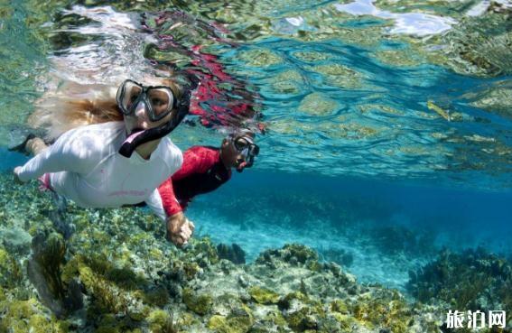 泰国浮潜需要准备什么 泰国浮潜需要准备什么