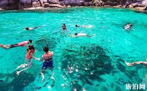 泰国浮潜需要准备什么 泰国浮潜需要准备什么