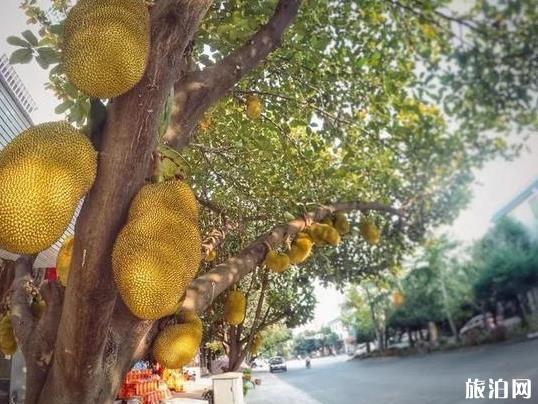 瑞丽小城故事 云南的边境小城 瑞丽小城故事 云南的边境小城