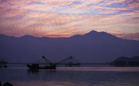 南澳岛海鲜哪家好 南澳岛海鲜怎么选