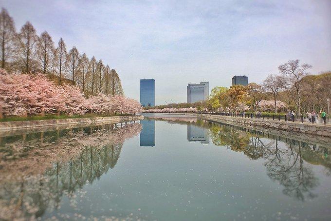 日本拍照最佳景点 日本有什么好吃的