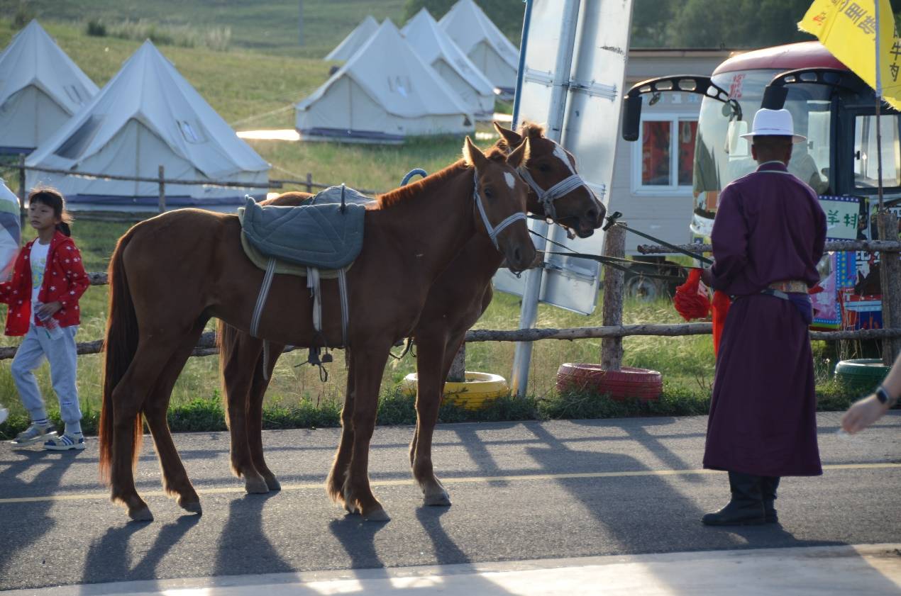如图片无法显示，请刷新页面